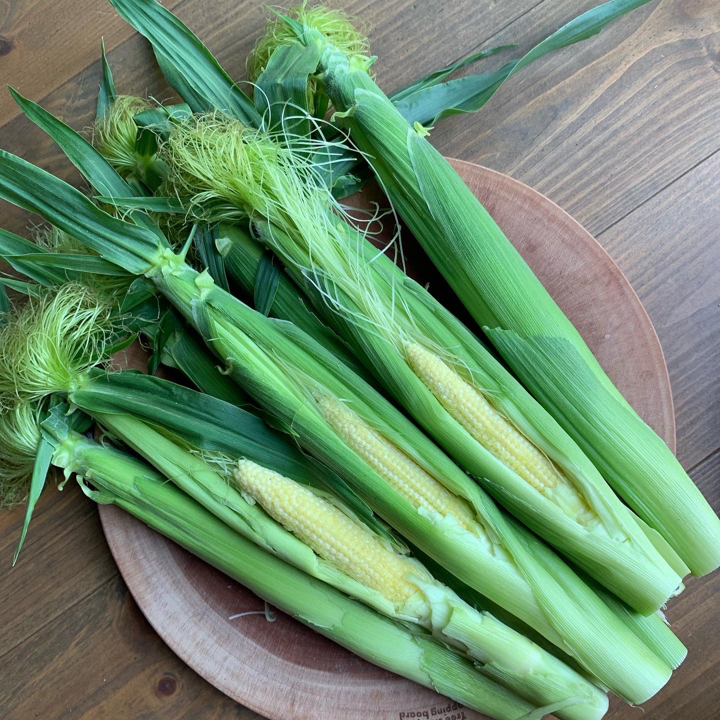 朝採り新鮮❗️皮付きヤングコーン ｜ 野菜/とうもろこし 産直アウル