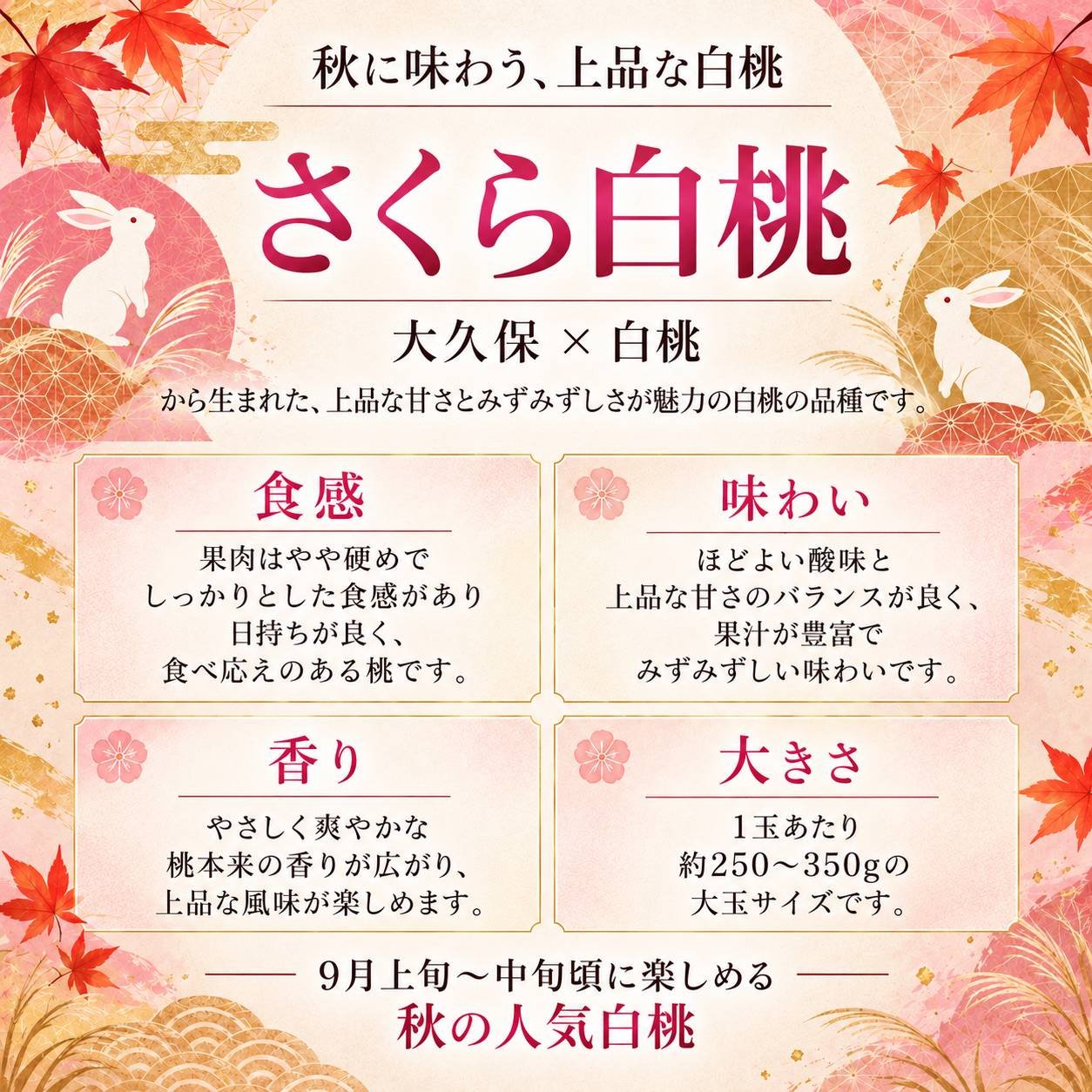 晩成品種の定番白桃品種【さくら白桃】 ｜ 果物/もも 産直アウル 農家