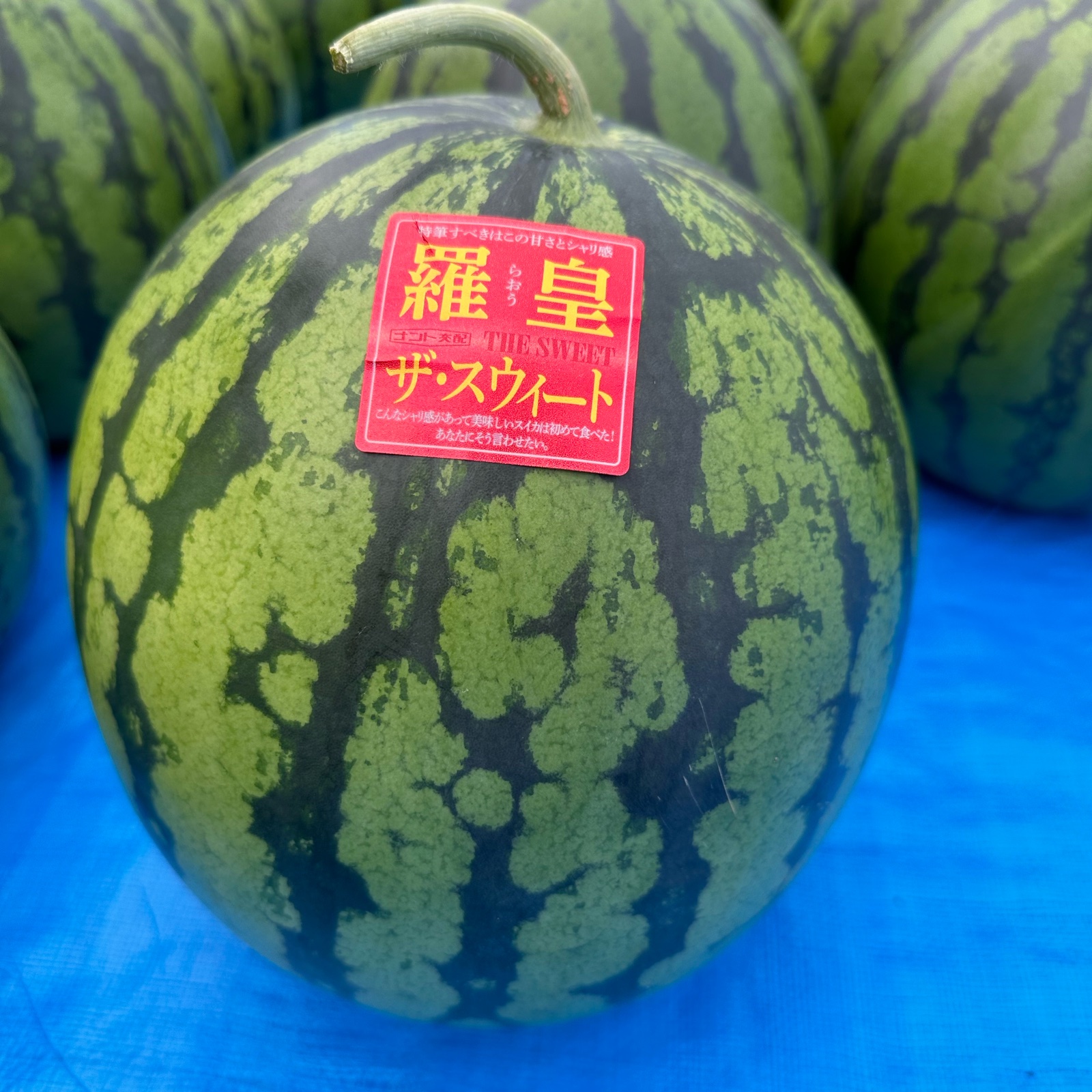 大玉すいか🍉】 羅皇ザスウィート 2玉 小ぶりなサイズ | 果物