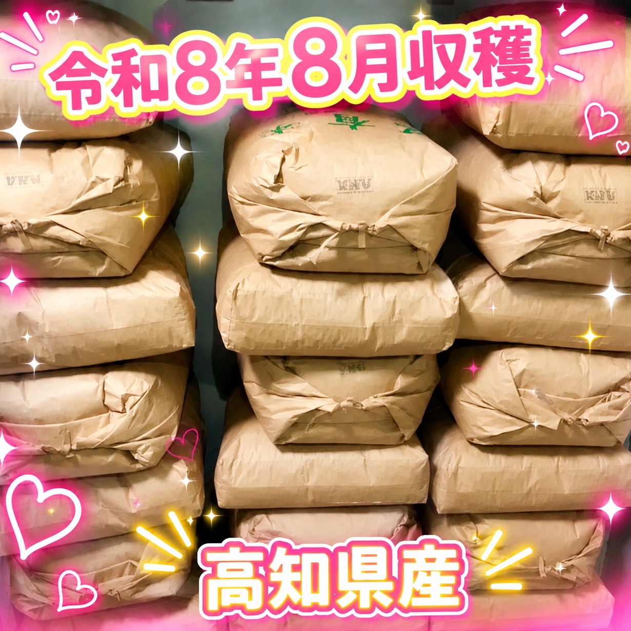 令和8年8月収穫！！高知県産コシヒカリ玄米30kg ｜ 米・穀物/玄米 産直