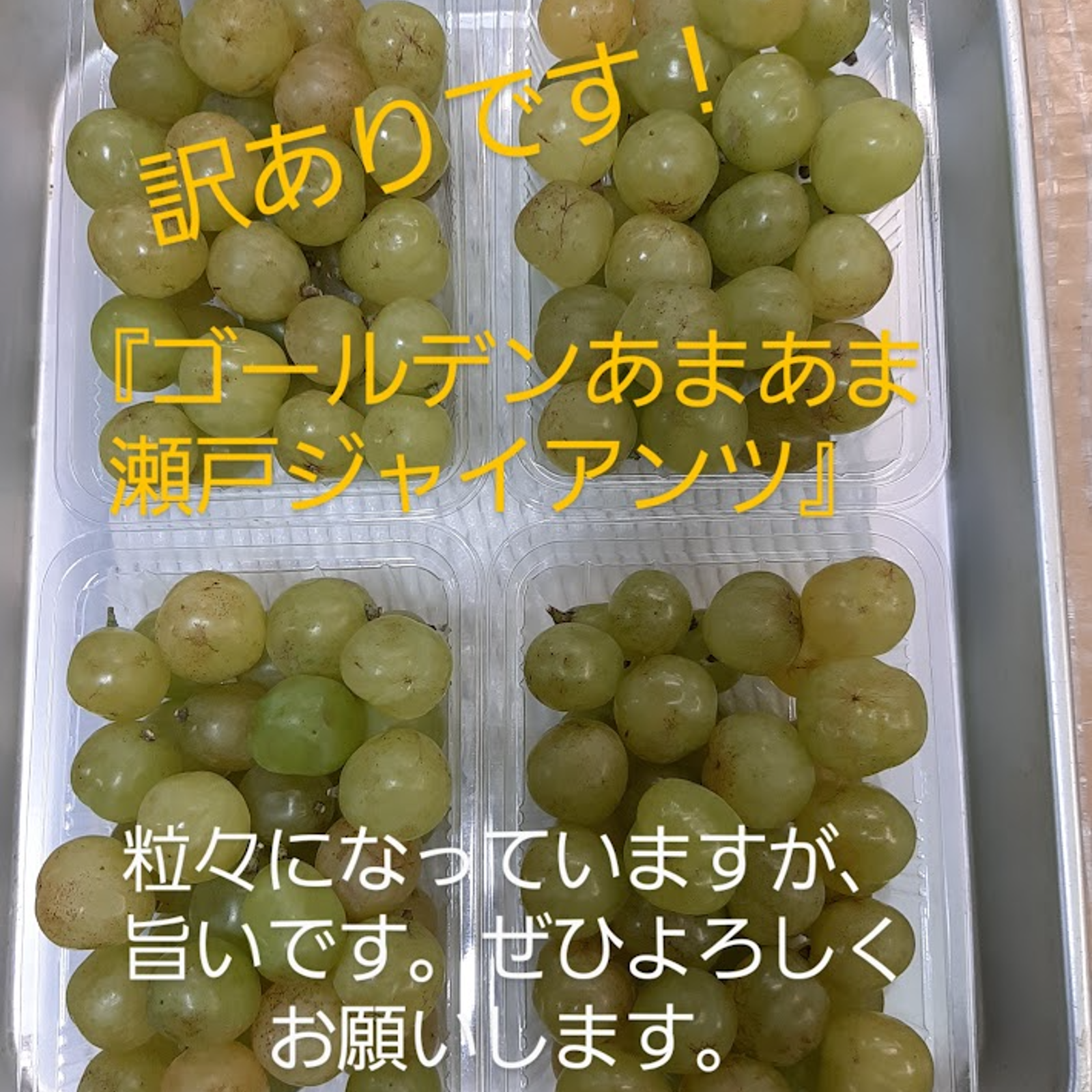 ゴールデンあまあま瀬戸ジャイアンツ4パック入り(1箱） ｜ 果物