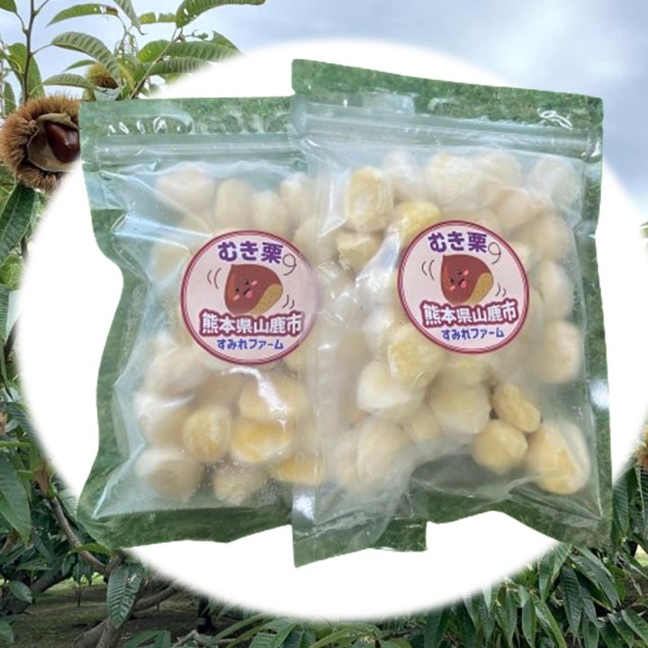 食品 熊本県山鹿産 2025年分 収穫分 むき栗