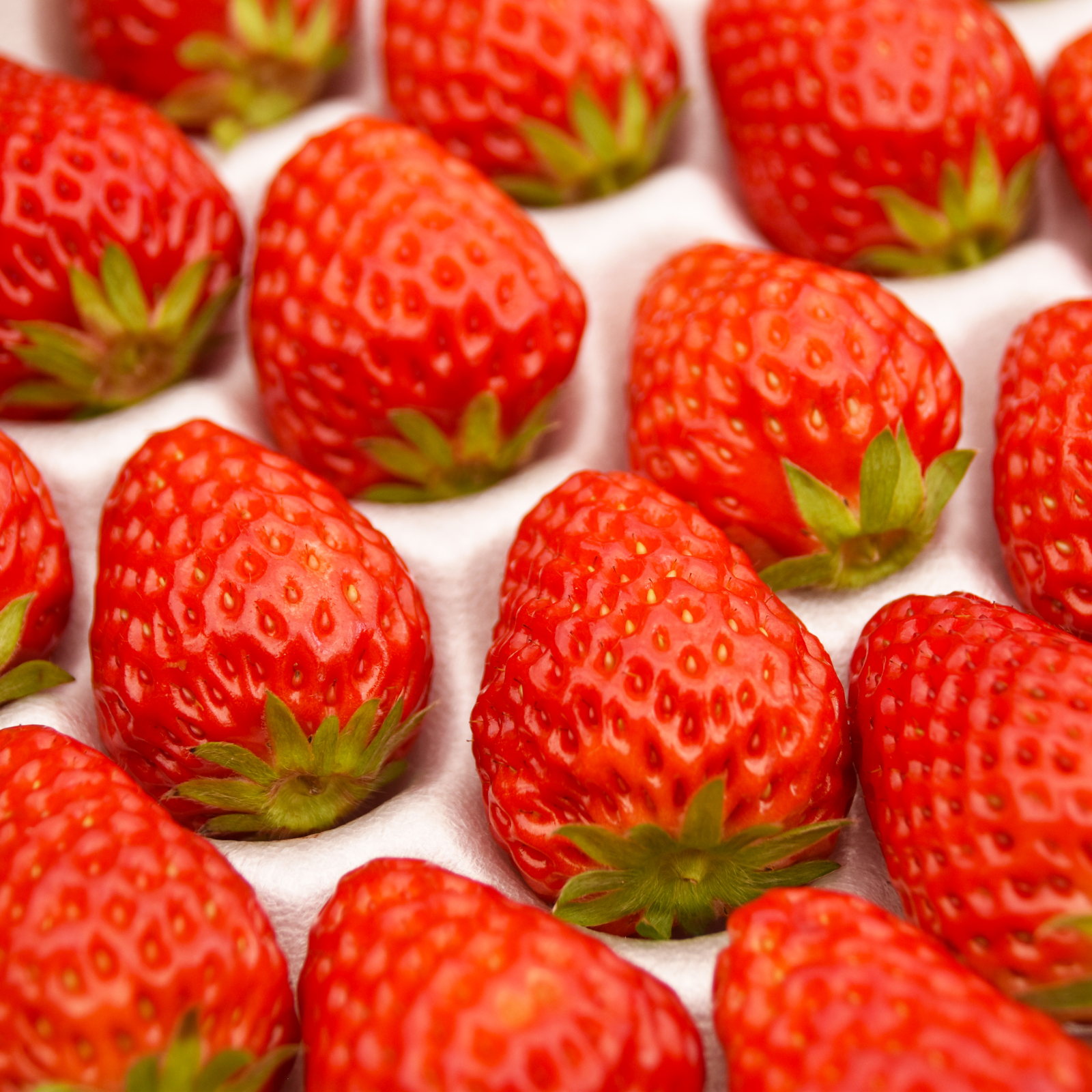 いちご様 専用】いちごさま いちご様 いちご① いちごページ 椿 Buy ZX 8000