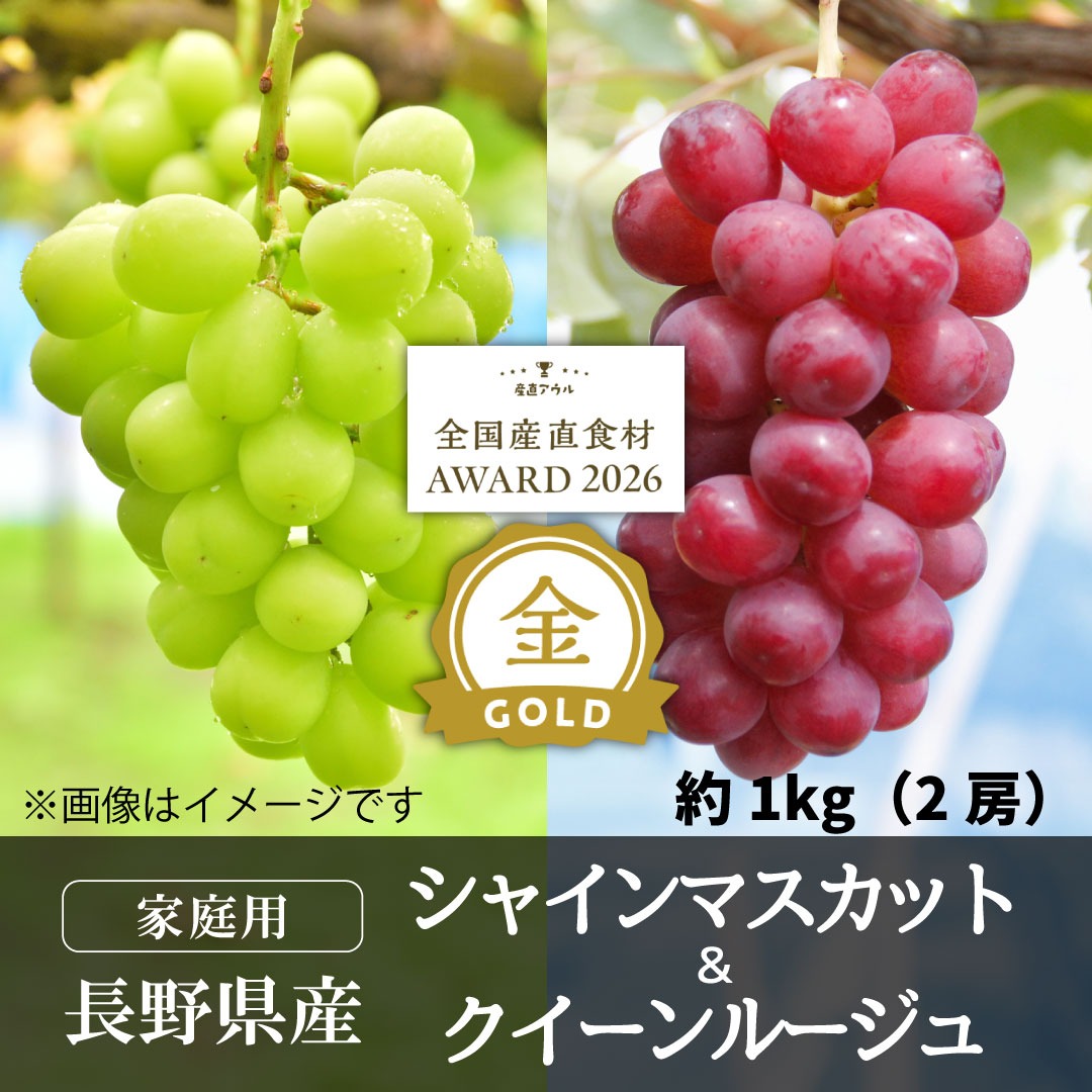 家庭用】クイーンルージュ＆シャインマスカット1kg（各1房）／本気農場
