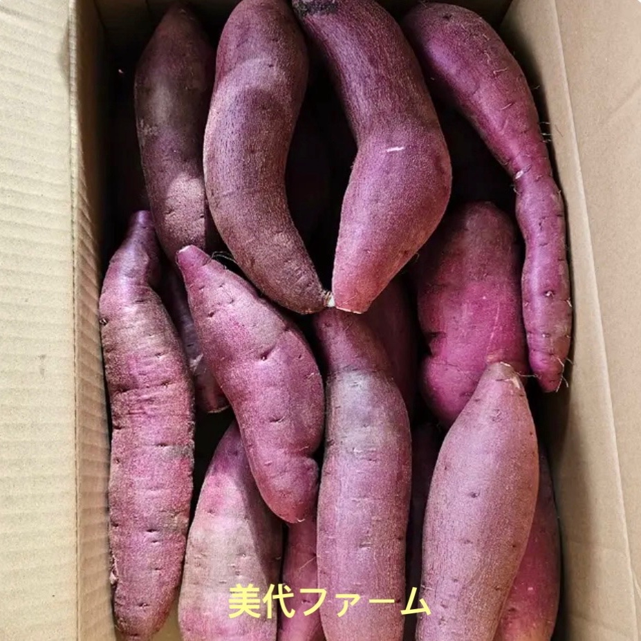 18e9d712111d973204b189d621e092
