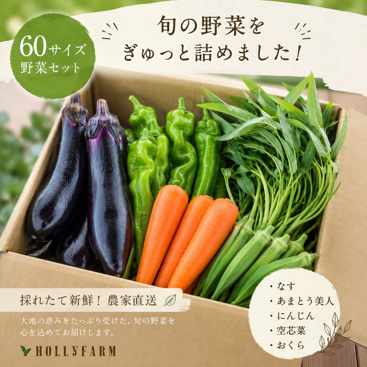 野菜セット 茨城県産 HOLLYFARMセット ｜ 野菜/野菜セット・詰め合わせ 産直アウル