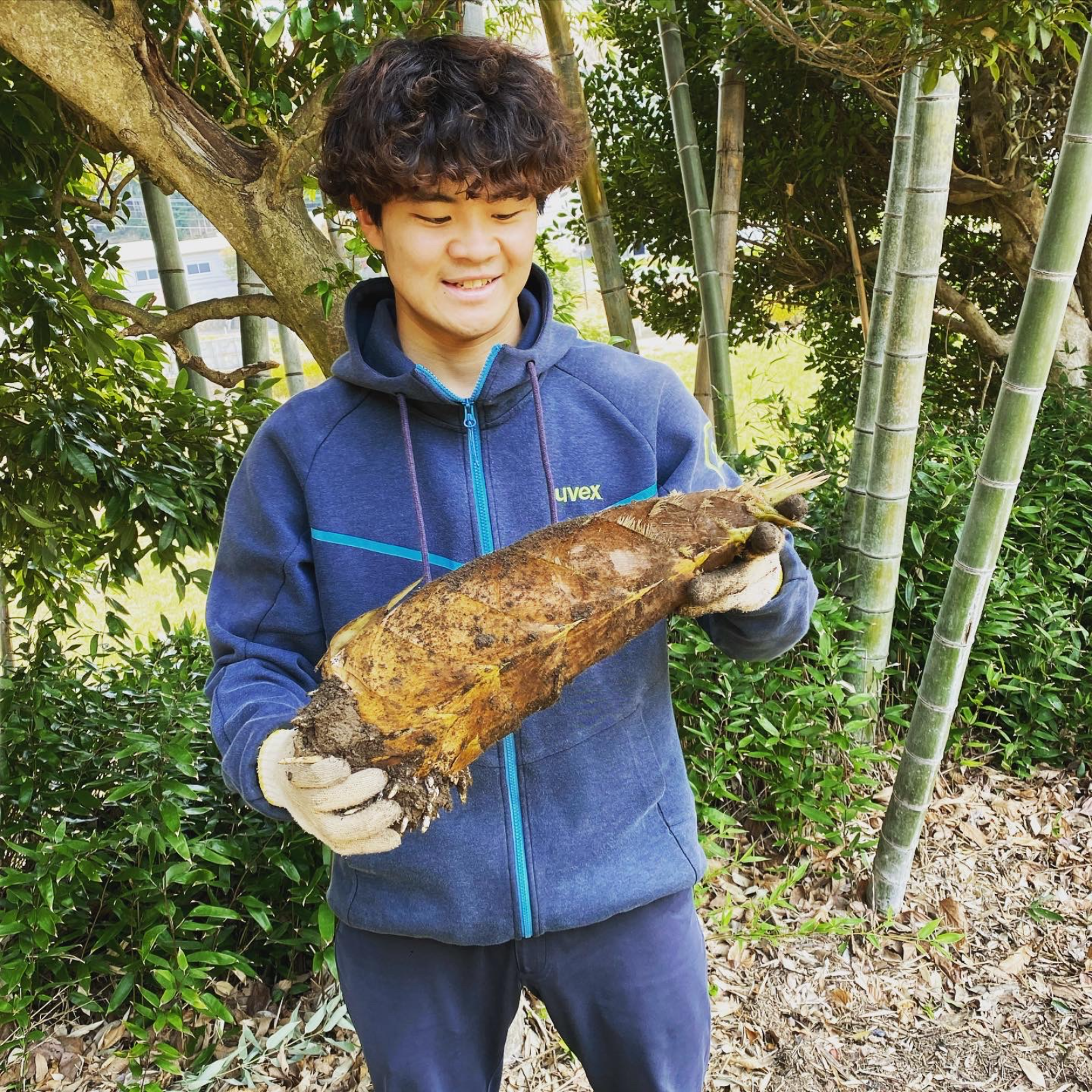 鮮度抜群 とれたて筍（たけのこ） 収穫後即日発送！×2kg ｜ 野菜