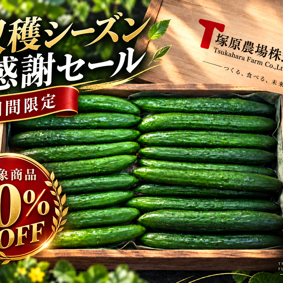 期間限定10％OFF】埼玉県深谷市産 家庭用きゅうり 3kg ｜ 野菜