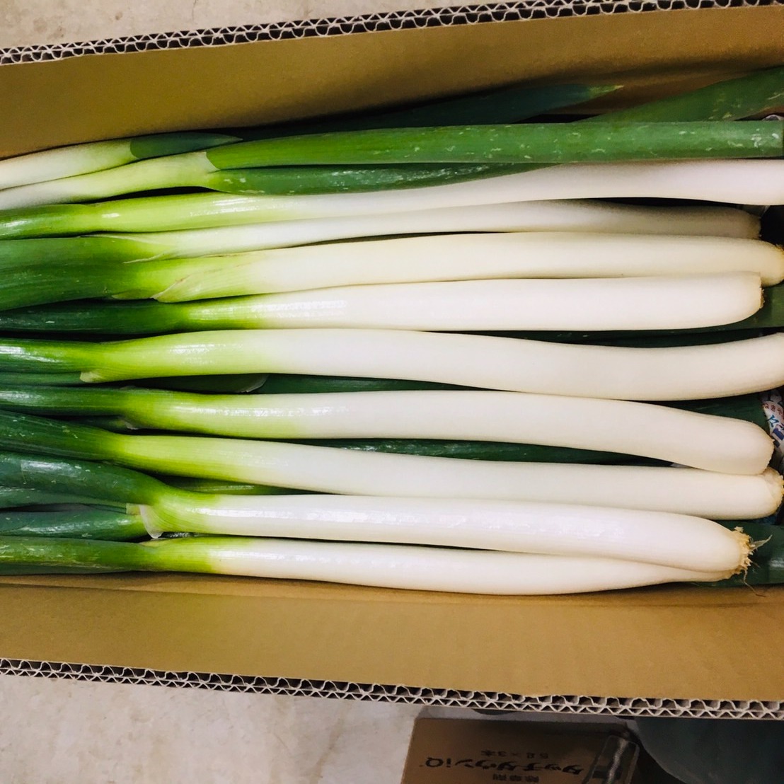 深谷ネギB品規格外(剥き）5kgサイズ色々で特価！！ ｜ 野菜/ねぎ