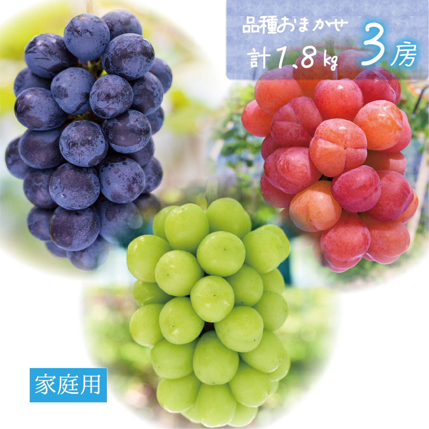 花巻碧、【ぶどう畑からの眺め】、希少な額装用画集より、新品額装付