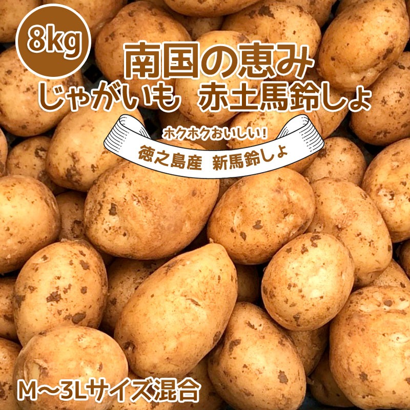 新じゃがいも 送料無料 8kg M~3Lサイズ混合 赤土 南国の恵み | 野菜