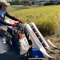 無農薬米 農家直送の美味しいお米 10kg 奈良県生駒市 ひのひかり 新米