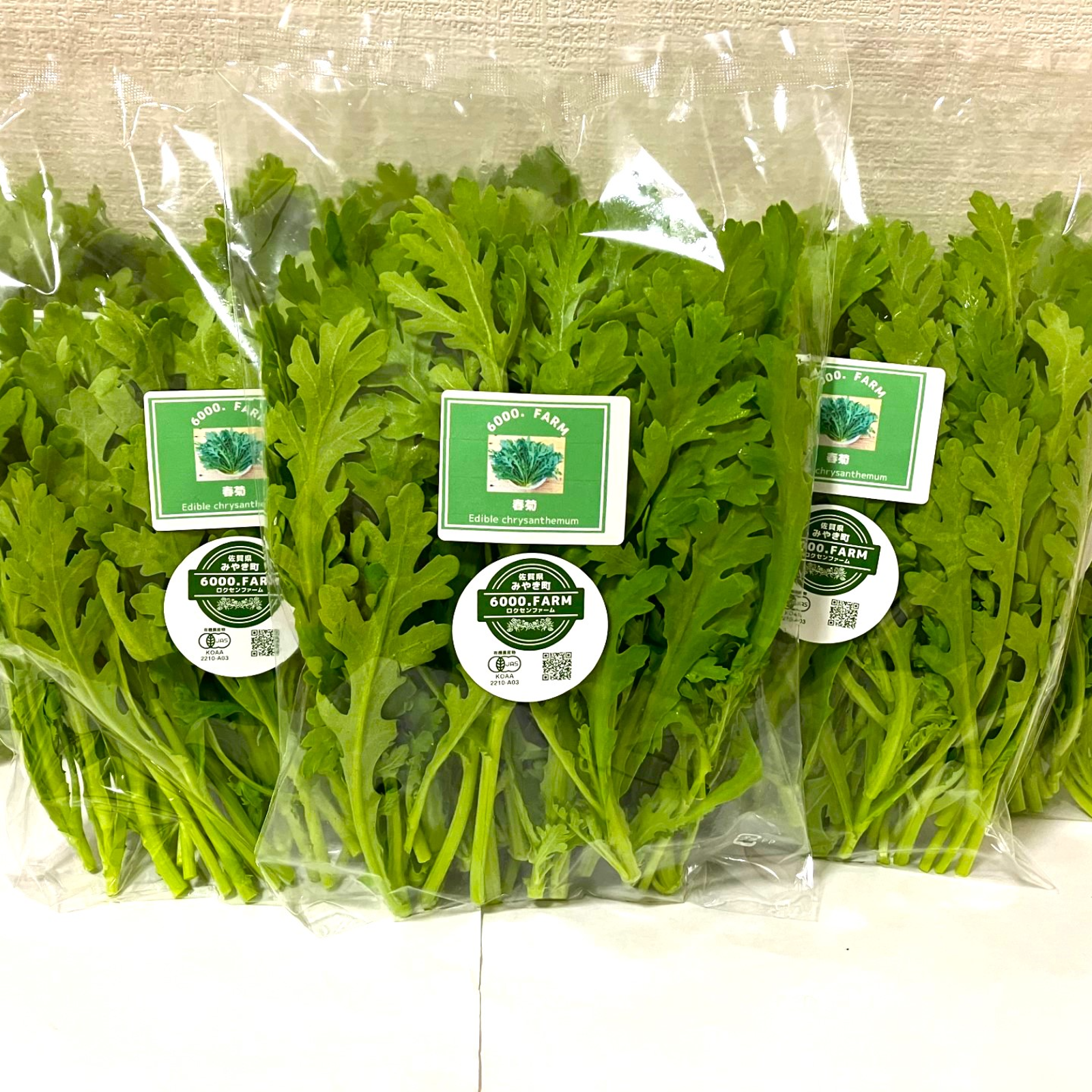 ☆そるる★様相談用【愛媛県産】水菜100サイズ箱いっぱい　春菊 ☆そるる★様相談用【愛媛県産】水菜100サイズ箱いっぱい　春菊