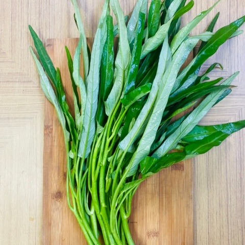 空心菜 jiayue1107キロ シャキシャキ食感がたまらない！ 朝採り空芯菜 京都府産1kg ｜ 野菜/葉
