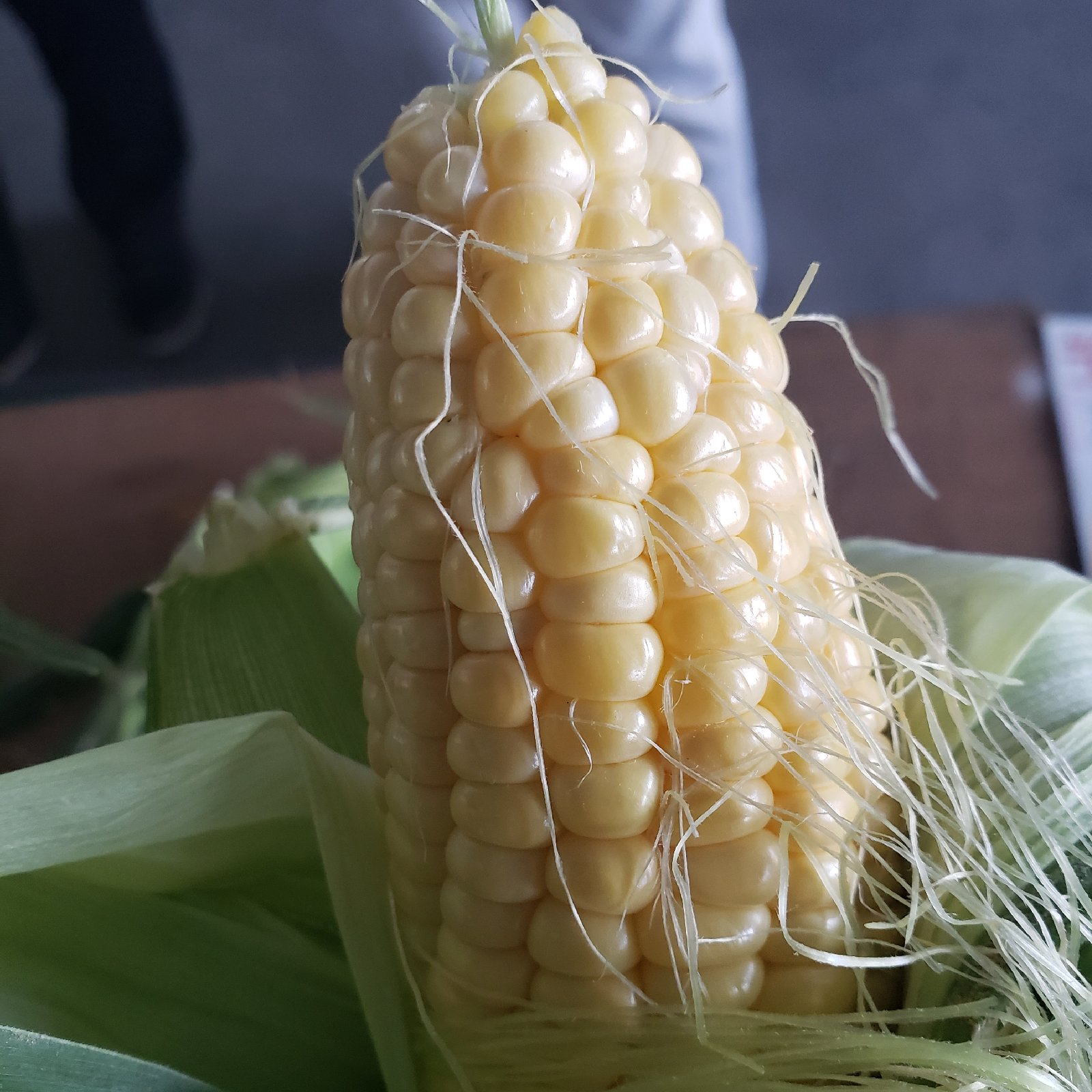朝採りとうもろこし（送料込み4本） ｜ 野菜/とうもろこし 産直アウル