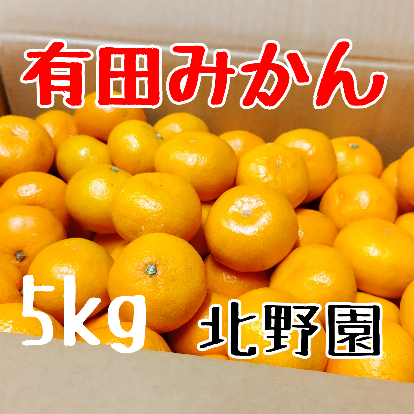 こみかん様 　2点購入