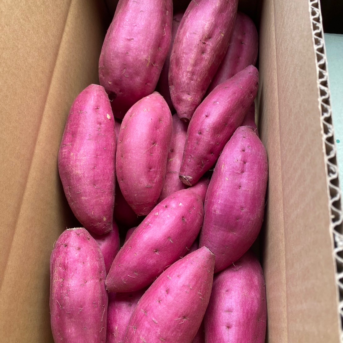 ホクホク系【 紅あずま S•M混合サイズ 10kg 】千葉県成田市産