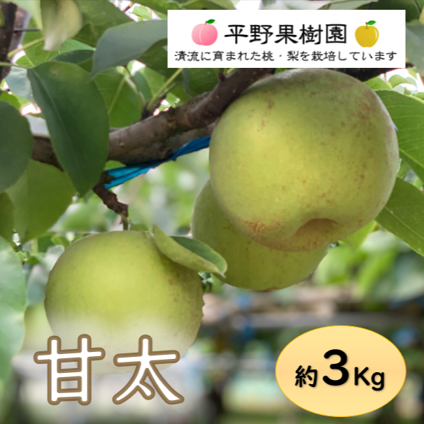 梨　甘太　３㎏　3箱セット