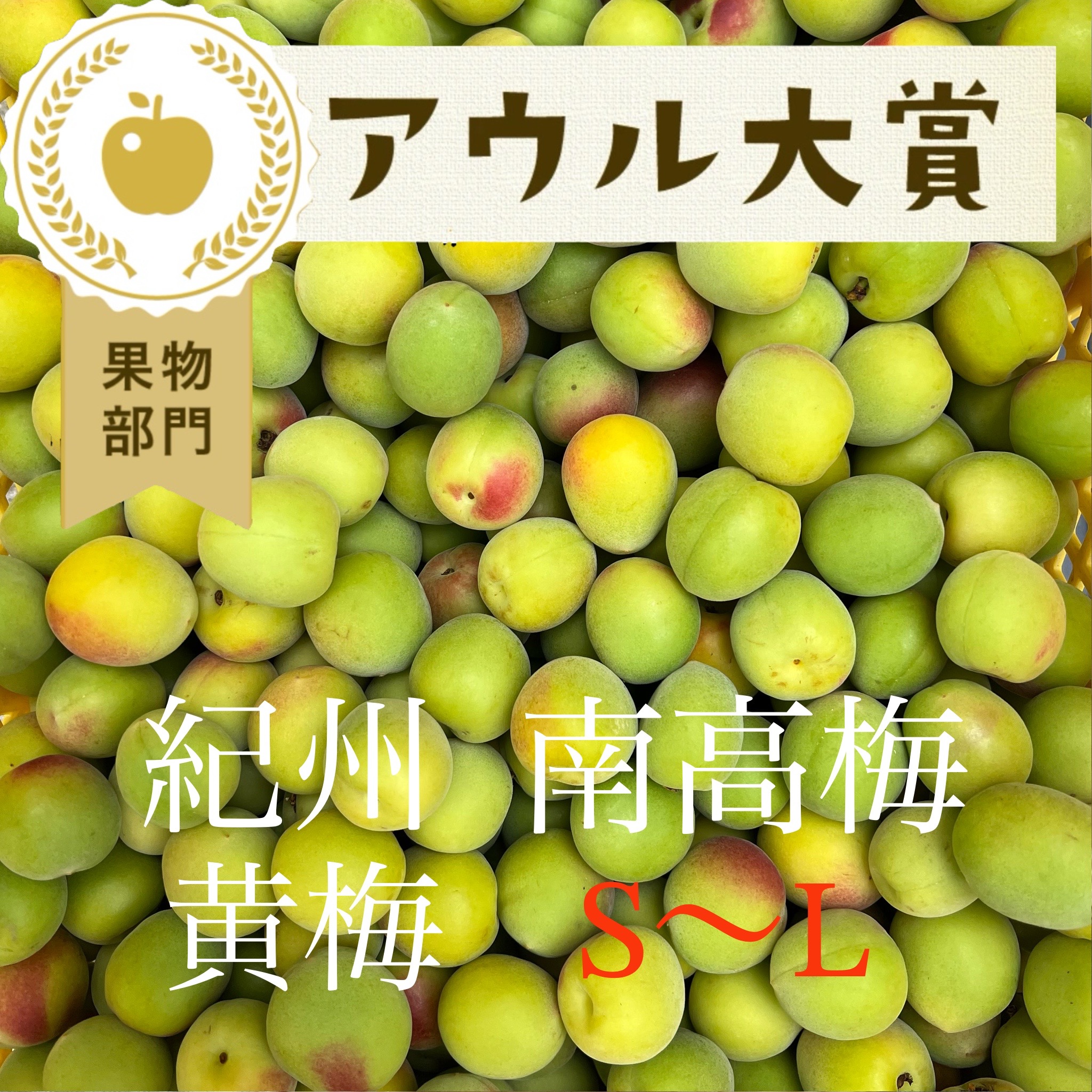 小玉）【10kg】黄梅 南高梅 ｜ 果物/青梅 産直アウル 農家・漁師など