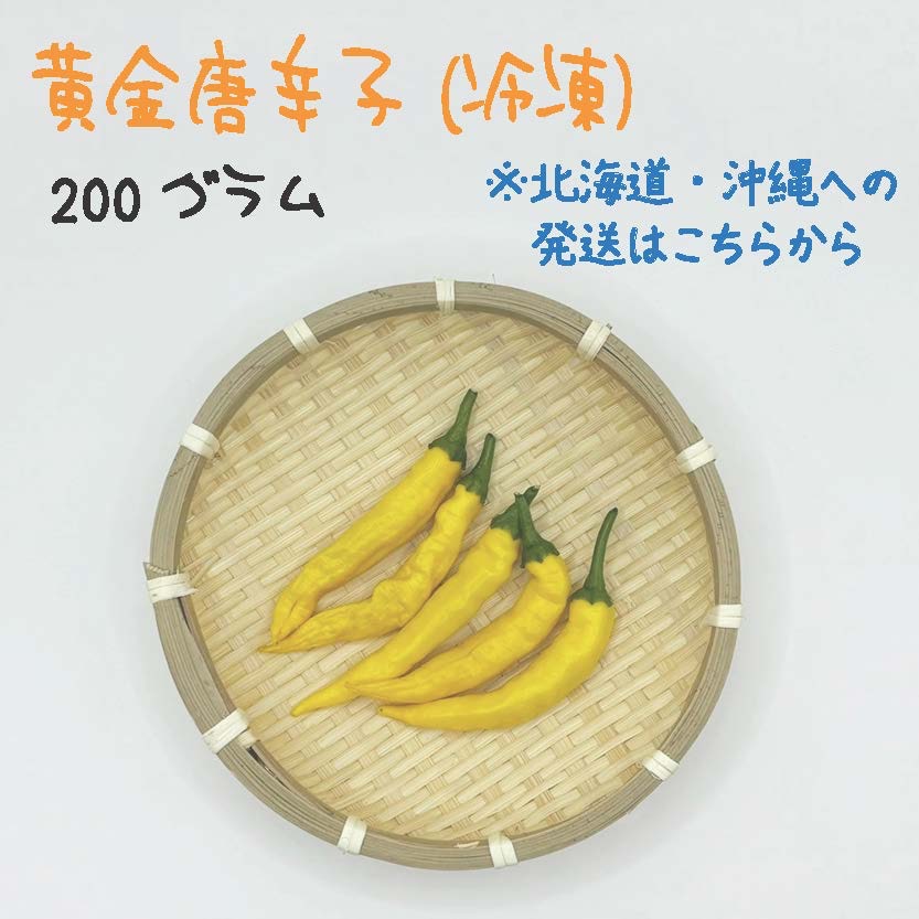 北海道・沖縄専用】黄金唐辛子 約200g 宮崎産 冷凍 激辛 収穫後に急速