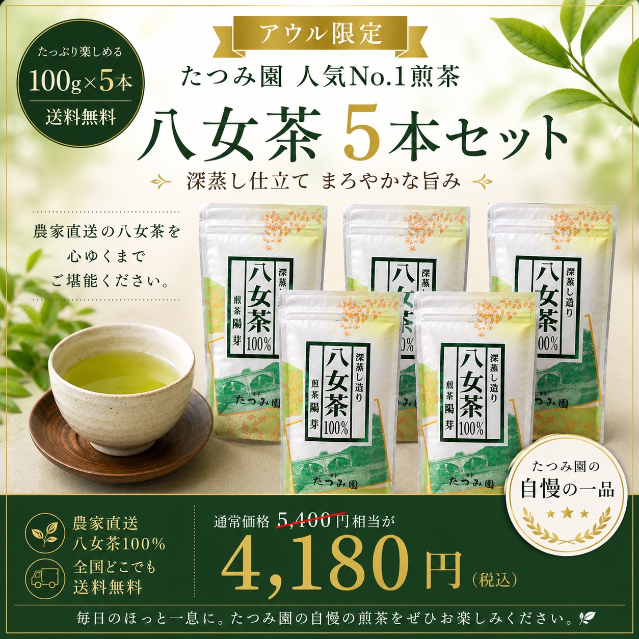 八女茶　煎茶　7袋セット 2026年新茶】家庭用八女茶100g×5本セット｜たつみ園 ｜ お茶/緑茶 産直