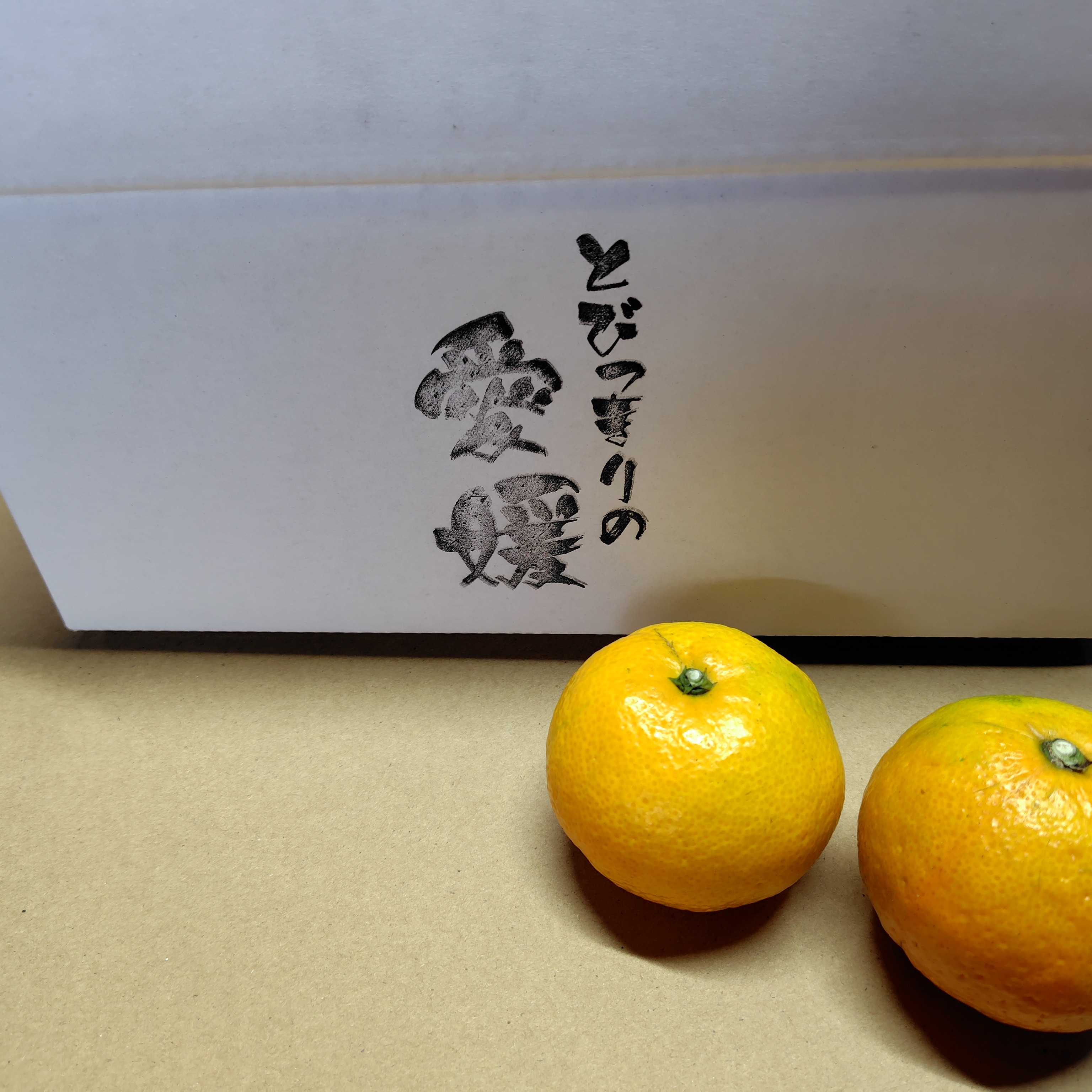 食品 58愛媛県産 ブラッドオレンジ タロッコ 10㎏