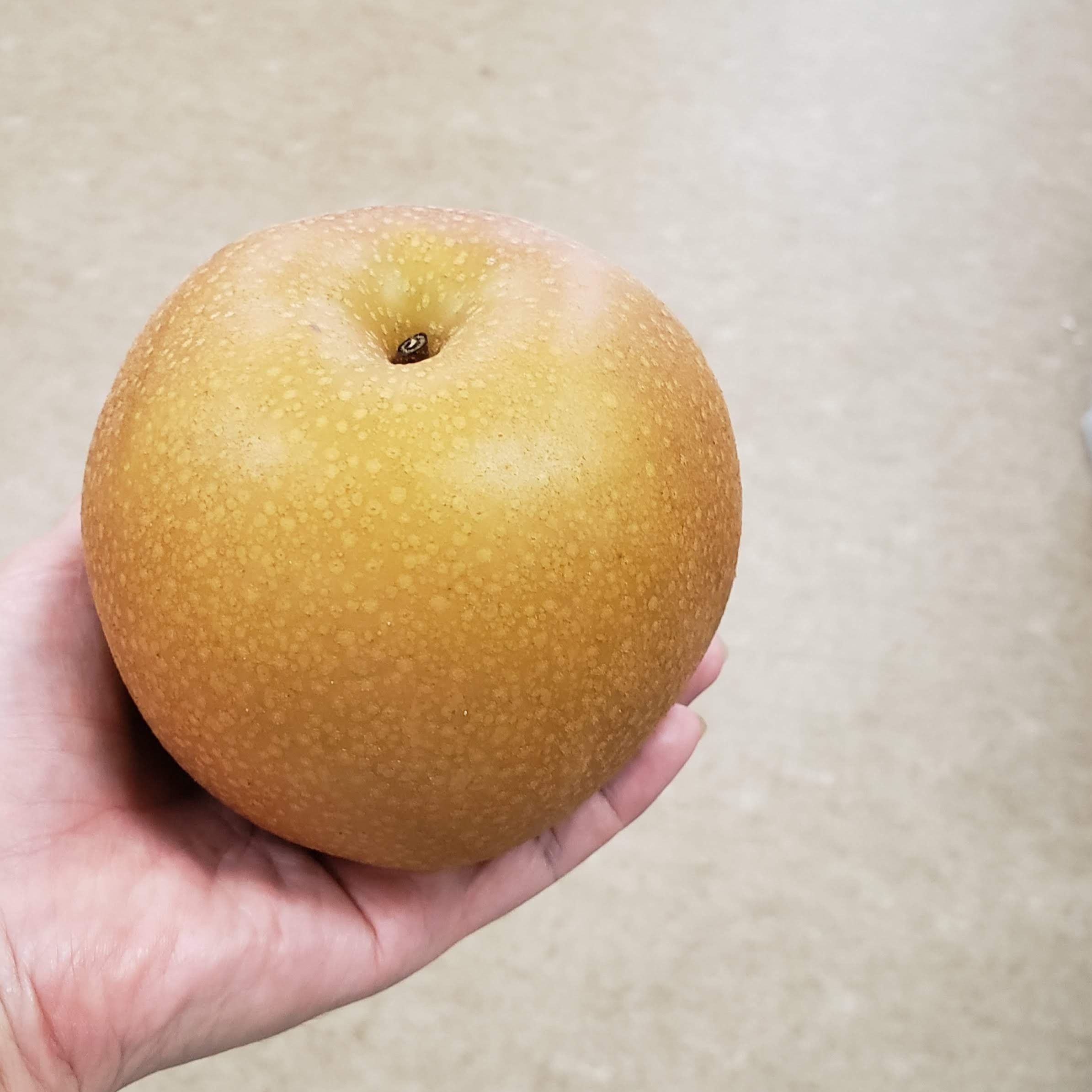 茨城産梨 あきづき1箱10kg14～16玉特大サイズ 梨「あきづき」【予約】｜産地直送 通販｜ふれあい村アスパル公式通販