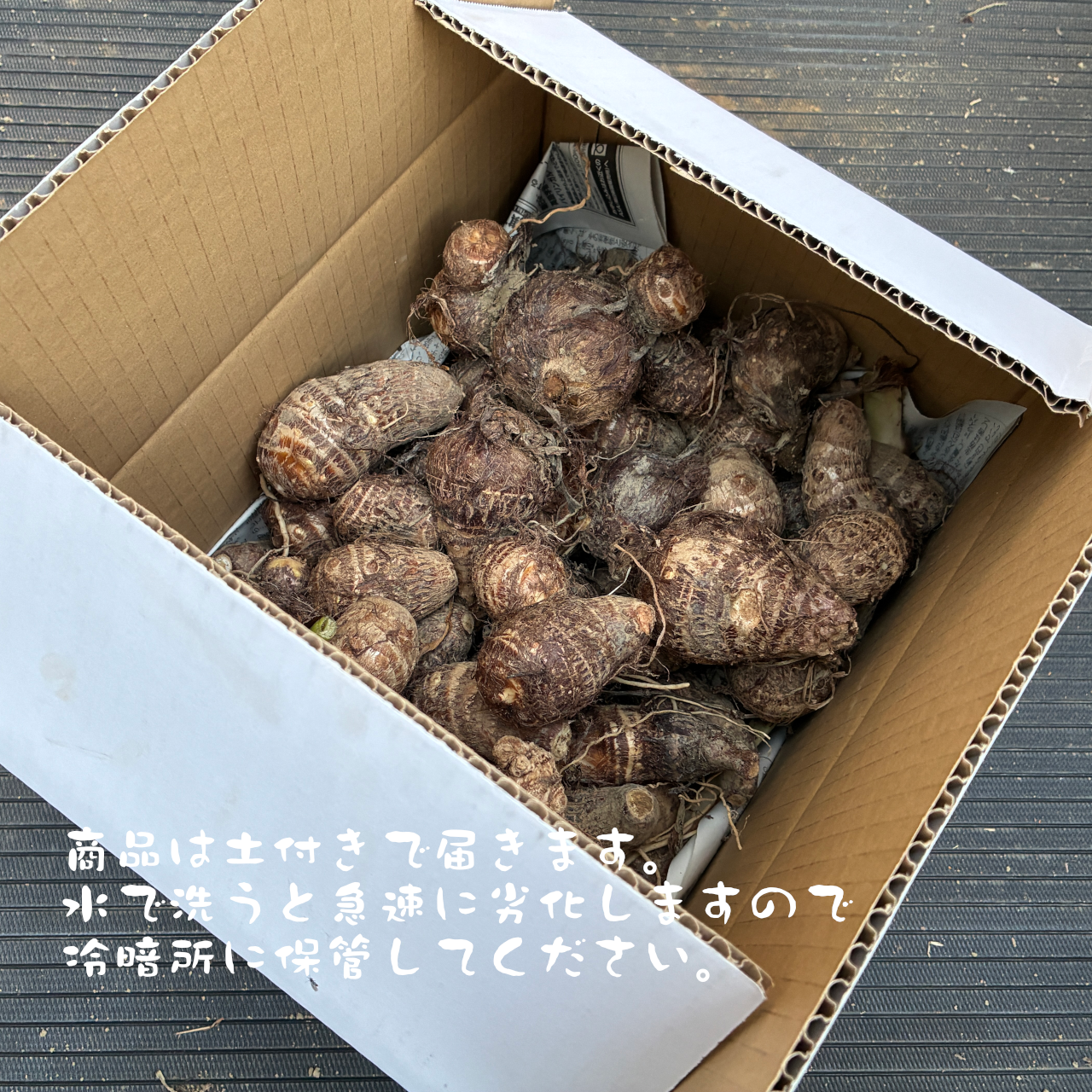 サトイモ『土垂』(4KG) ミックスサイズ | 野菜/里いも 産直アウル 農家