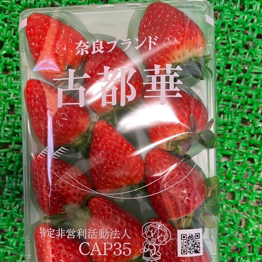 値下げ中 奈良県産いちご「古都華」280g入4パック ｜ 果物/いちご 産直