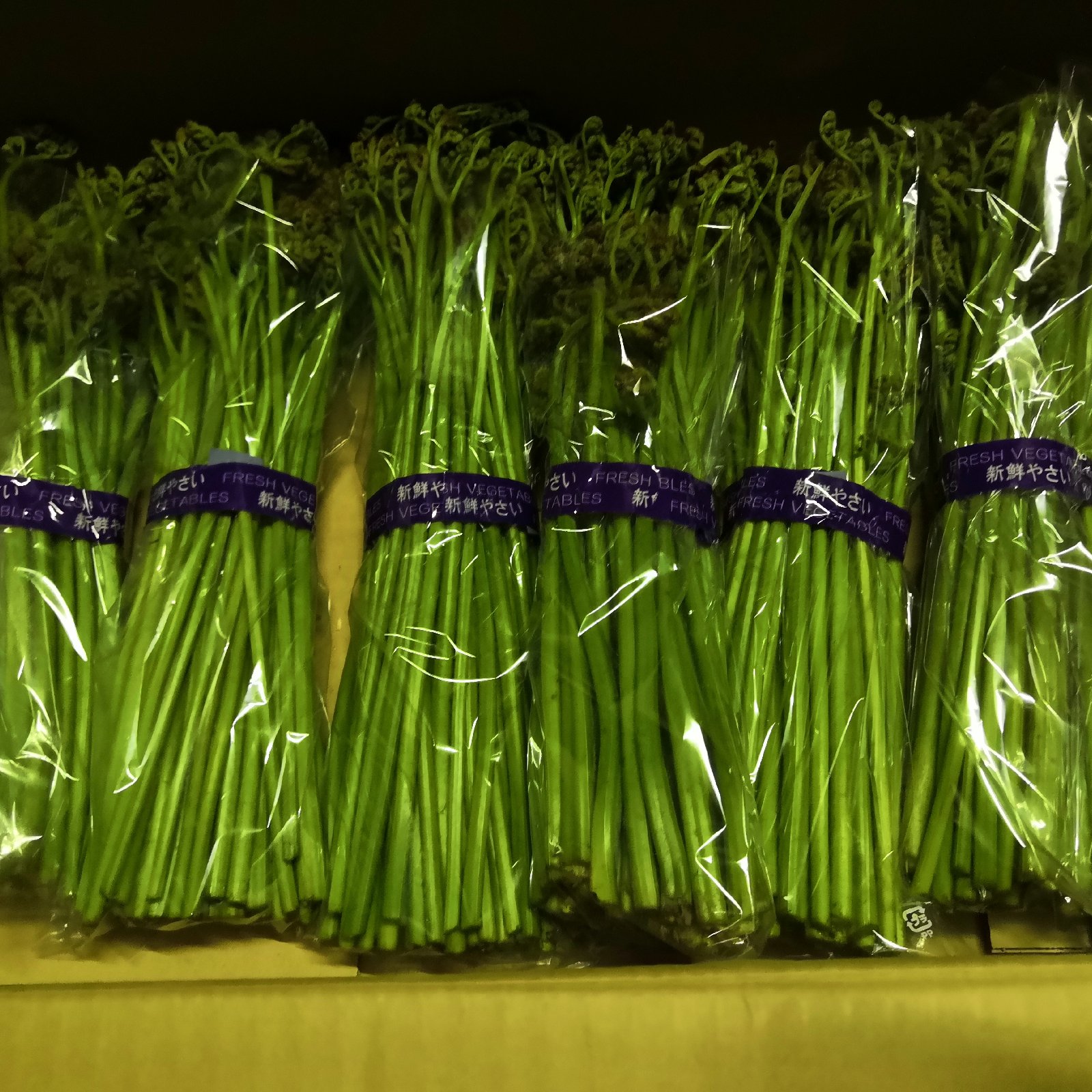 ワラビ（野菜＞山菜）の産地直送商品一覧（通販・お取り寄せ