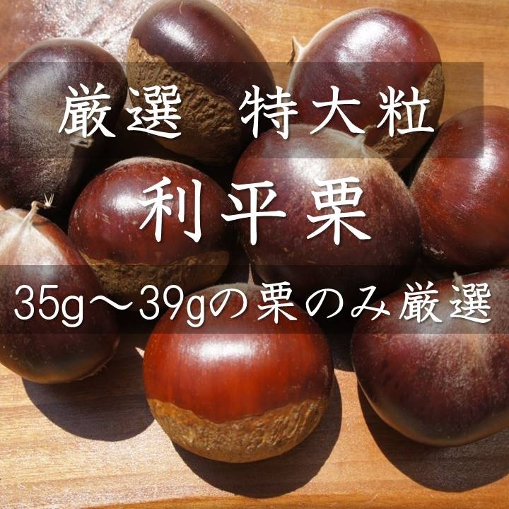 特大粒 厳選 栗の王様 利平栗 】35～39g 自然栽培 農薬不使用 | 果物