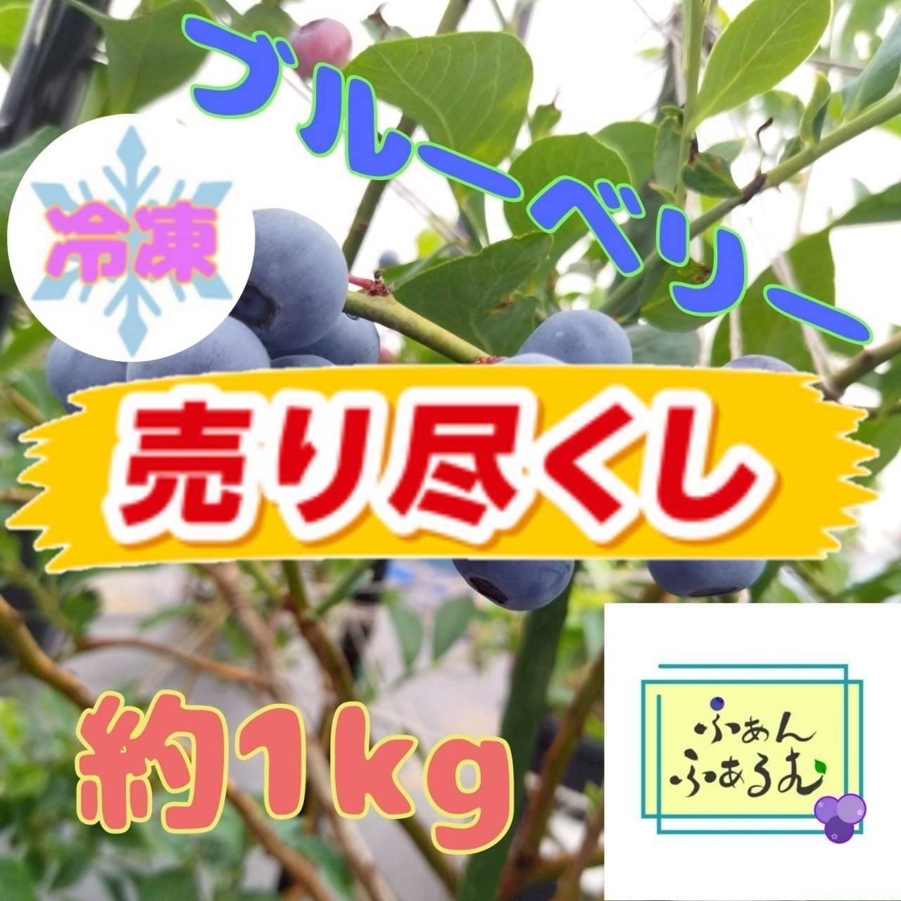 ☆令和7年 冷凍ブルーベリー☆農薬不使用 5㌔ 30％OFF】令和7年度産冷凍ブルーベリー品種MIX 1kg ｜ 果物/ベリー類