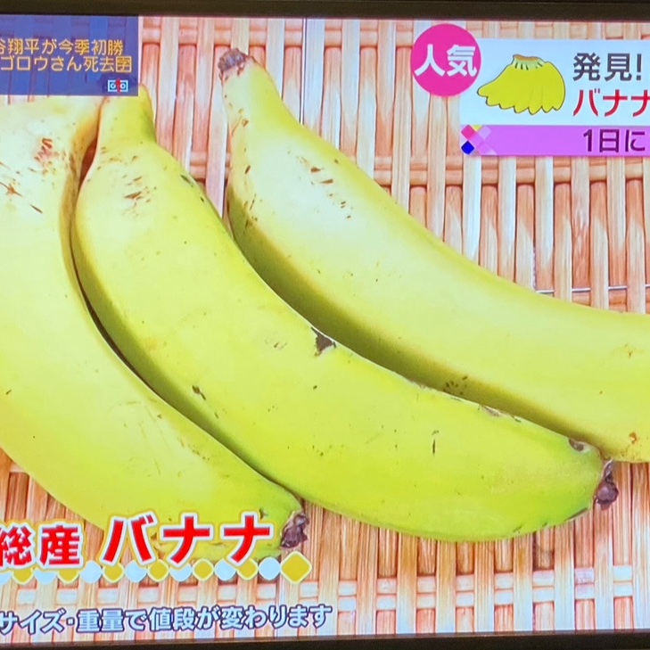 訳あり品 房総バナナ 5kg | 果物/バナナ 産直アウル 農家から直接野菜