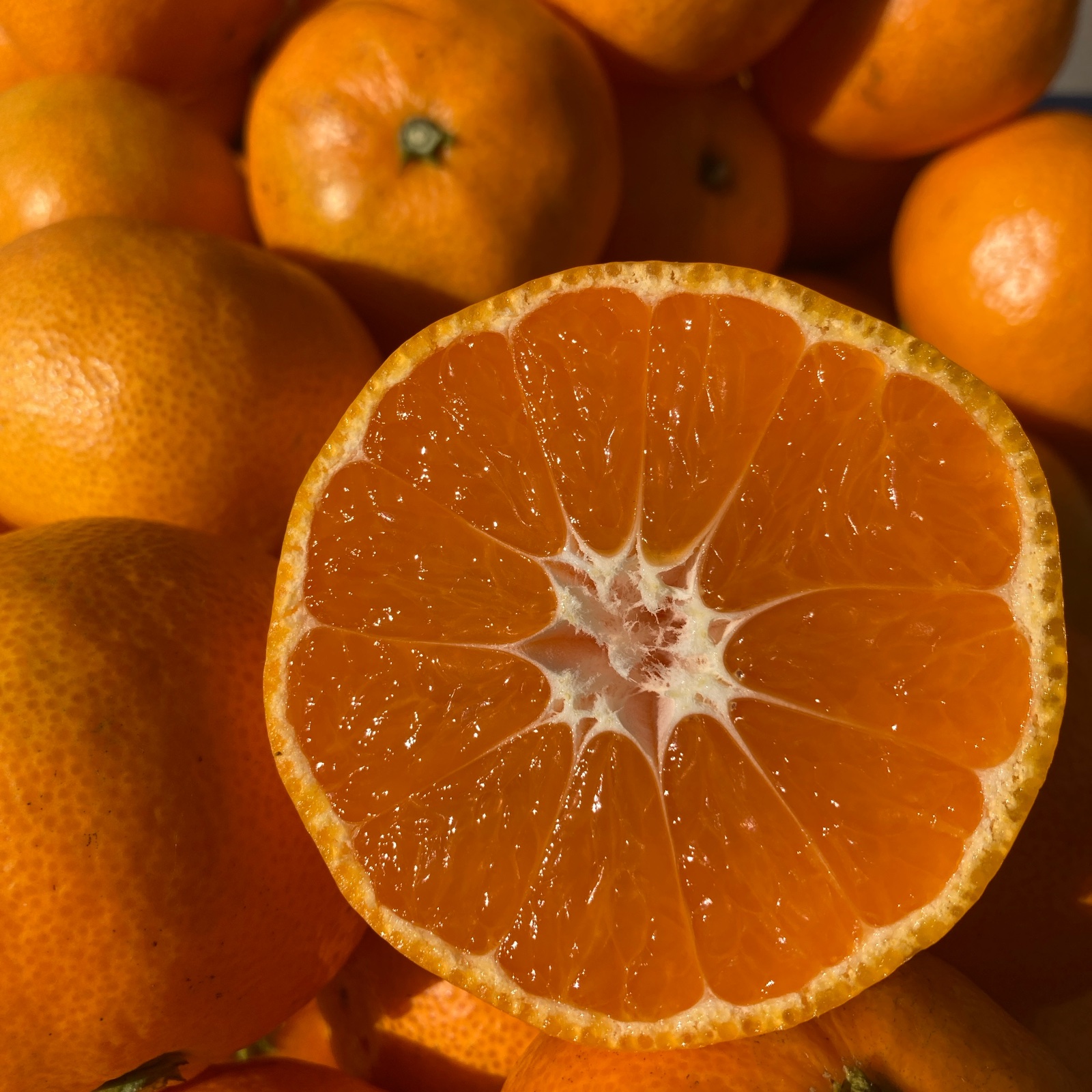 1c476e4b730e156931652e0642a69e