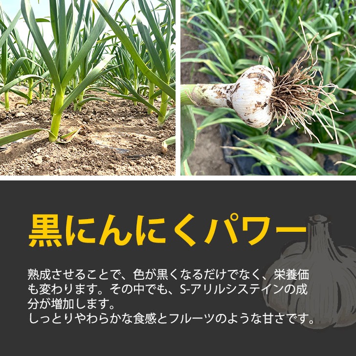 黒にんにく 500g バラ 青森県産 熟成黒ニンニク 添加物不使用 生産者