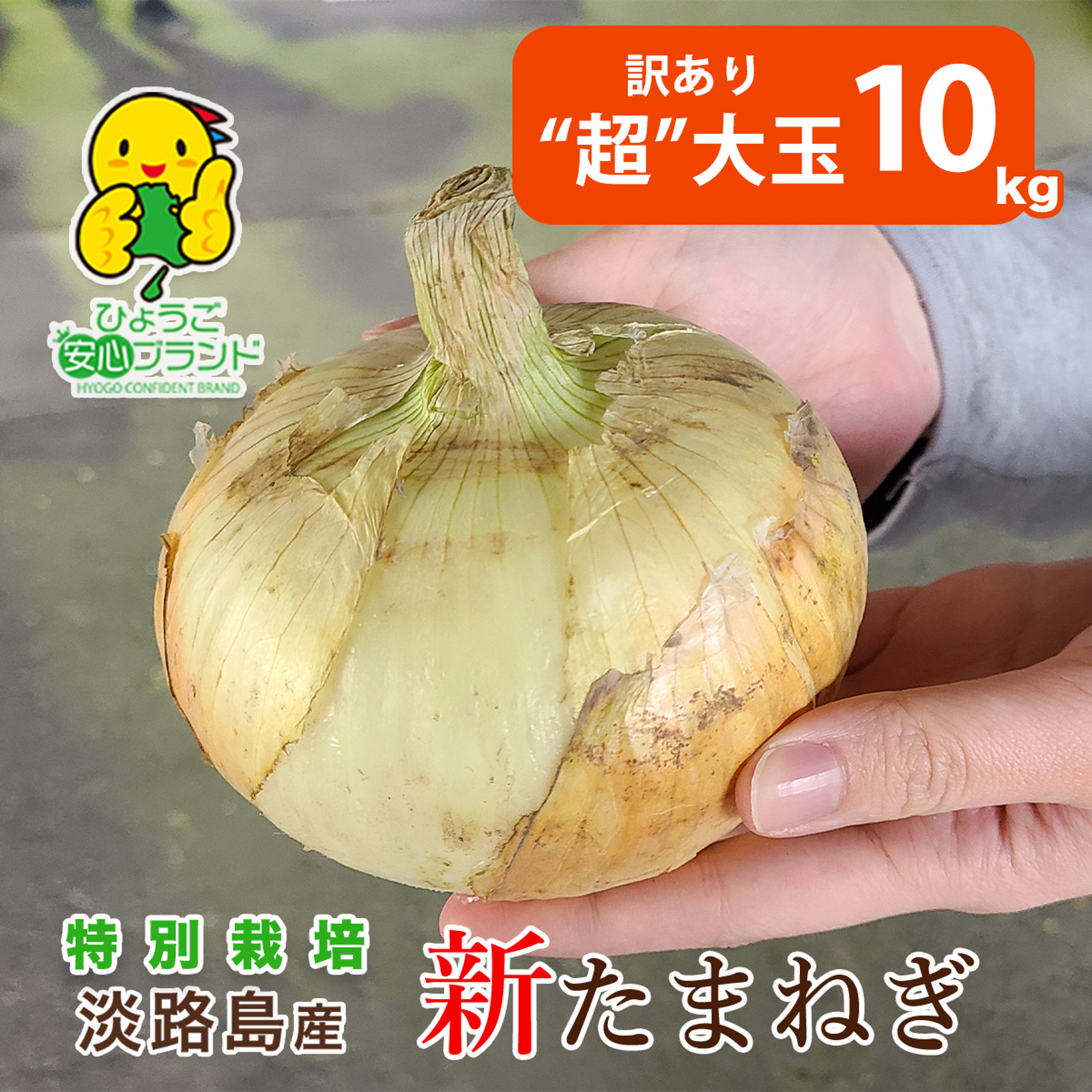 淡路島産 玉ねぎ訳あり5キロ - 野菜