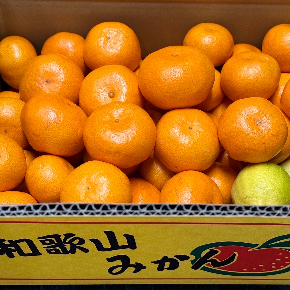 東風さんが 林農園 の 【6周年限定】樹上完熟みかん 5kgと国産レモン 6