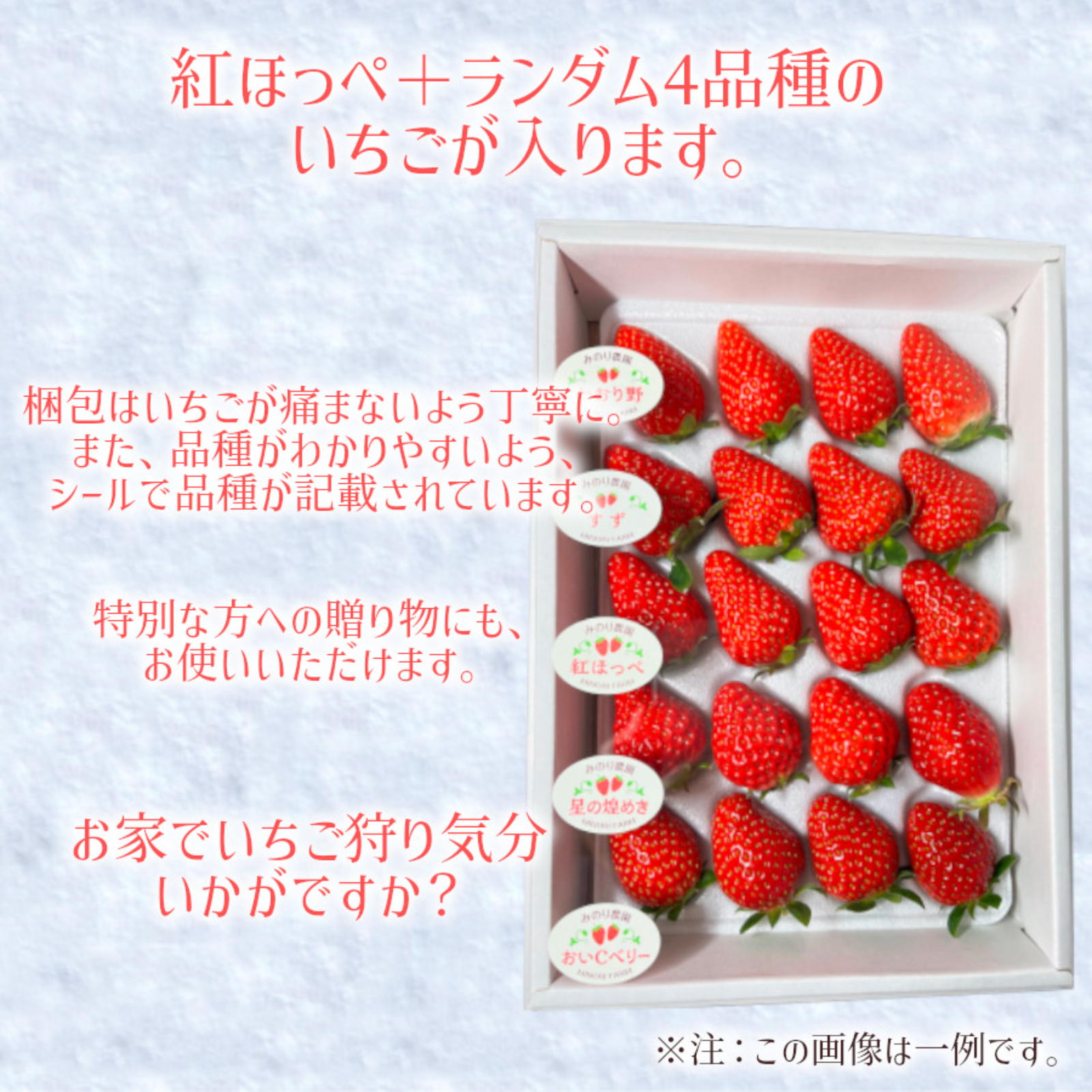 紅ほっぺ】確定！！いちご厳選5種詰め合わせ（1パック入） ※紅ほっぺ