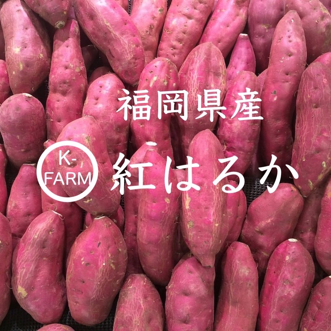 福岡県産/紅はるか/サイズ混合5kg ｜ 野菜/さつまいも 産直アウル 農家 
