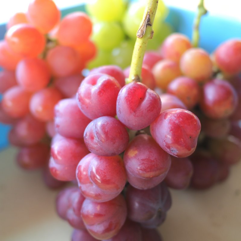 1d6edbfc9d1e63578786612ce808cd