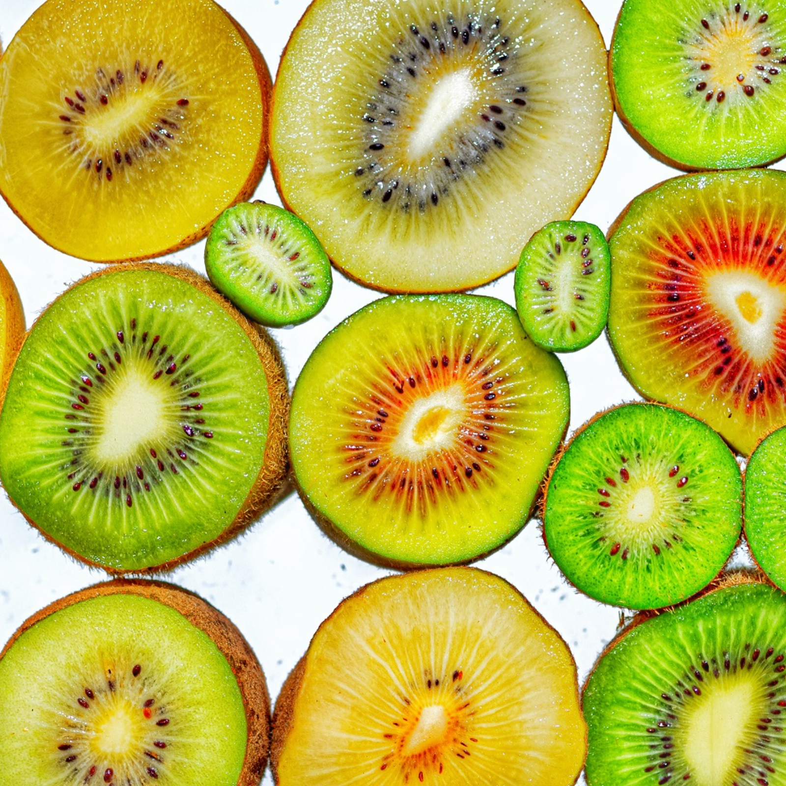 農園イチオシ！”甘いキウイ厳選”特にスイートなキウイ3種セット：9個