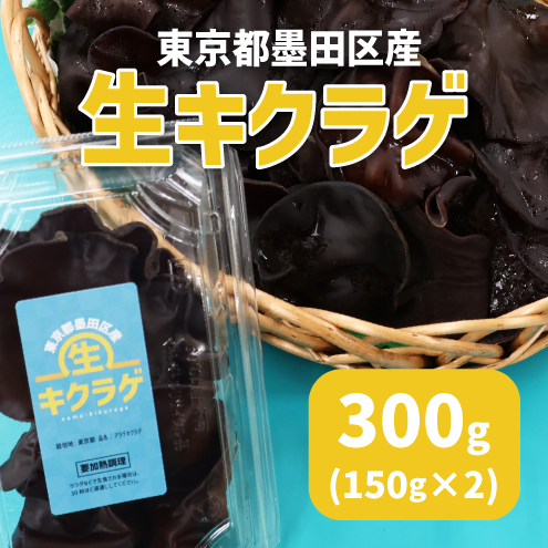 光市産 生キクラゲ 約３kg 光市産 生きくらげ 約3kg 野菜