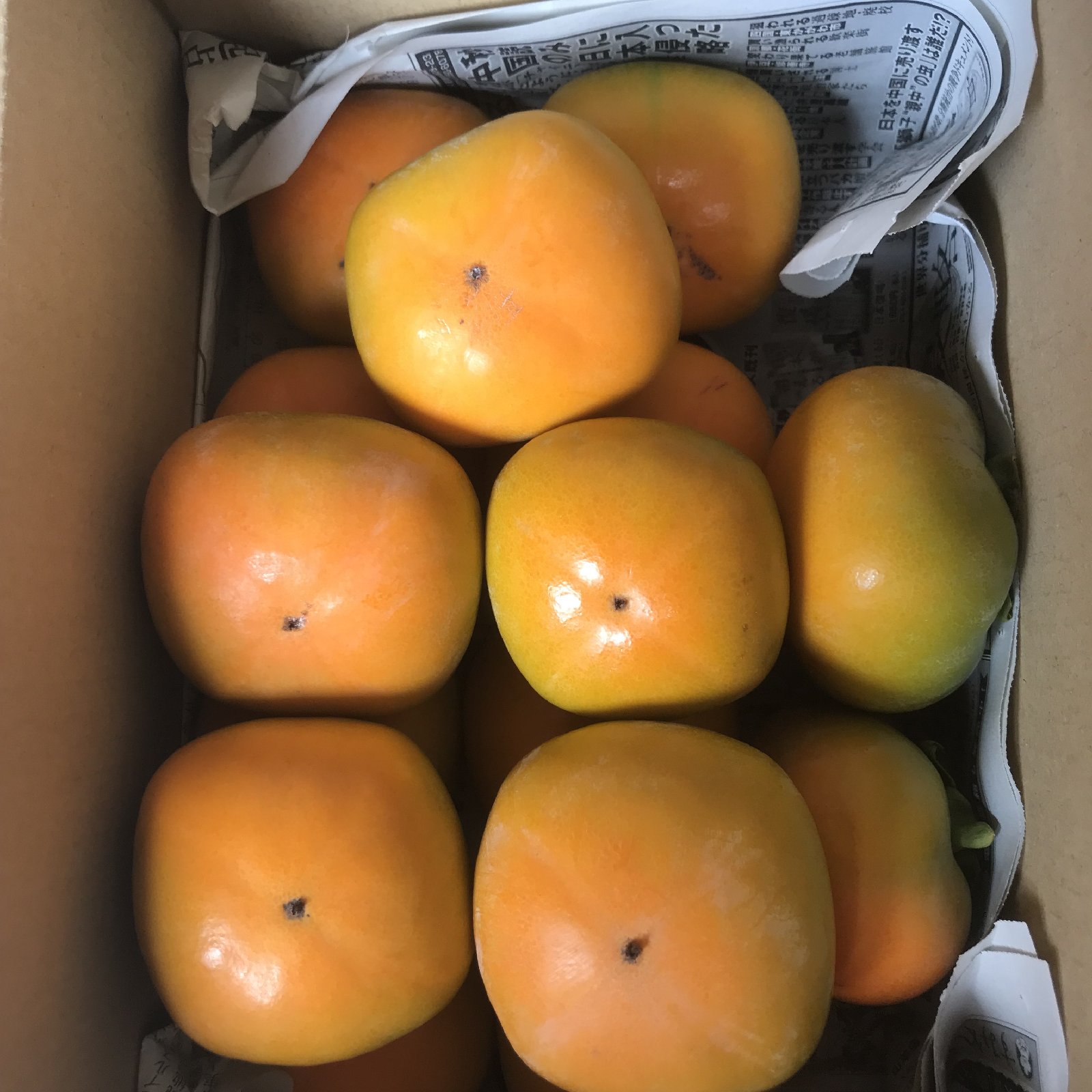 1da0eae5deb34e34e1c1c1fdcbebd0