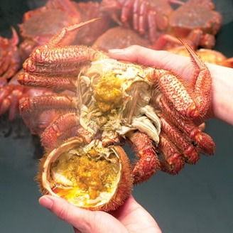 北海道ボイル毛ガニ4kg詰（10-13尾入） | 魚介類/カニ 産直アウル