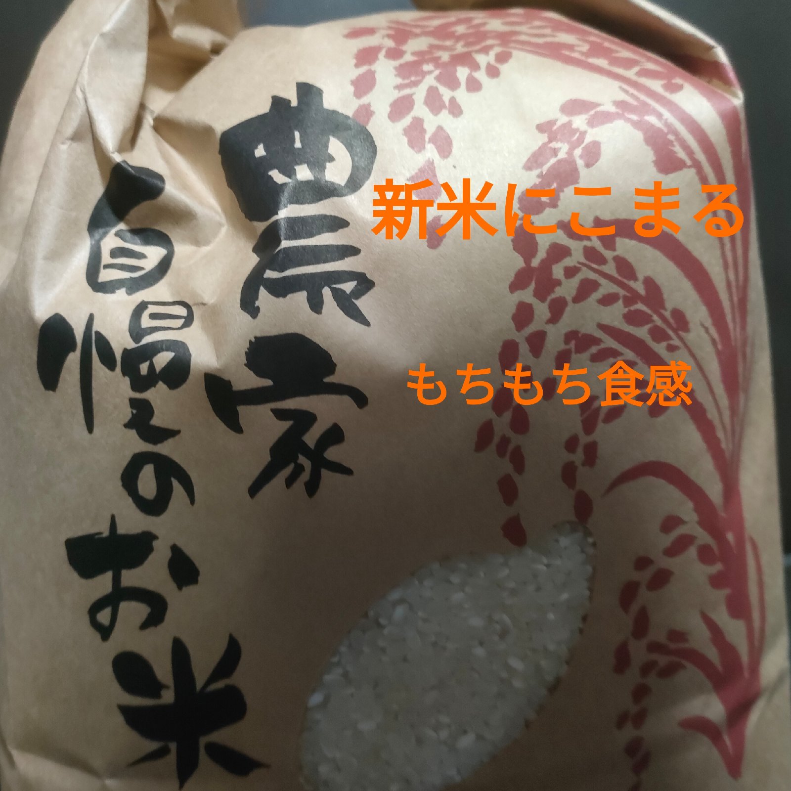 新米5キロ令和8年度産「にこまる」※東北〜九州地方へ発送のみ ｜ 米