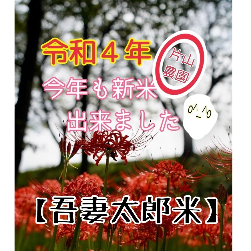 令和4年【玄米】20㎏ 新米コシヒカリ100% お試し ｜ 米・穀物/玄米 