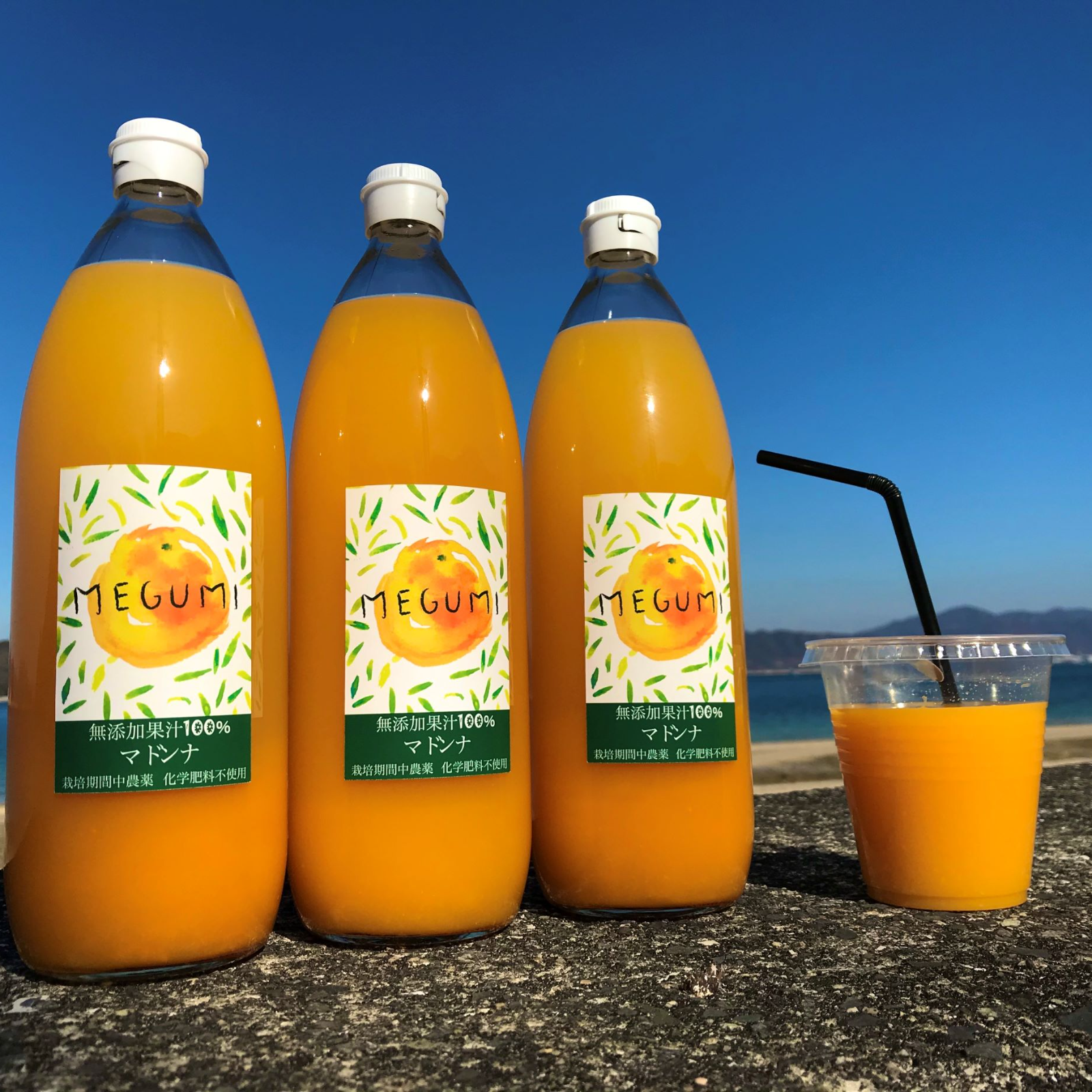 数量限定】マドンナジュース 1000ml 6本 苦味があります ｜ 飲料