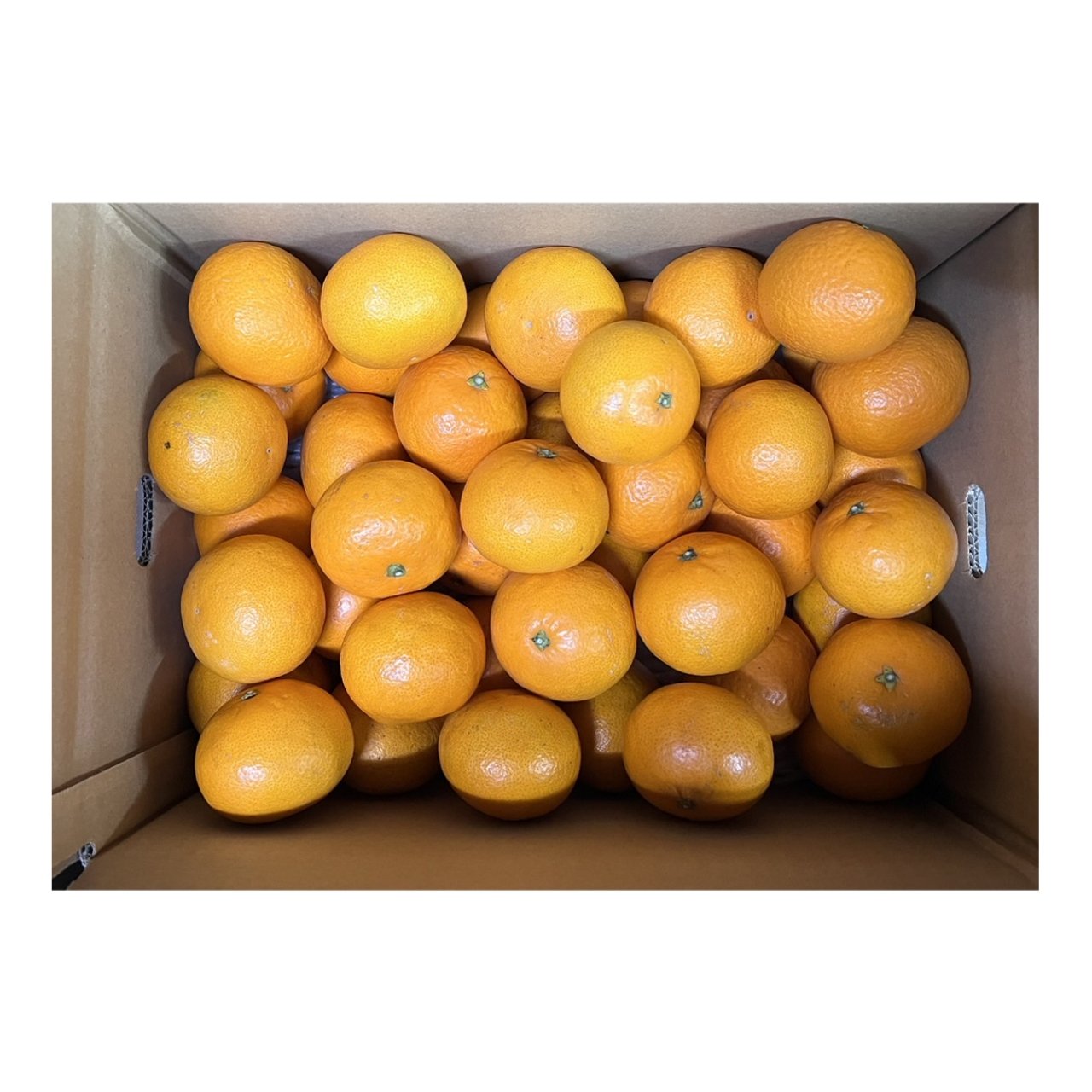 1efc19767b30e68f8688ffb221a133