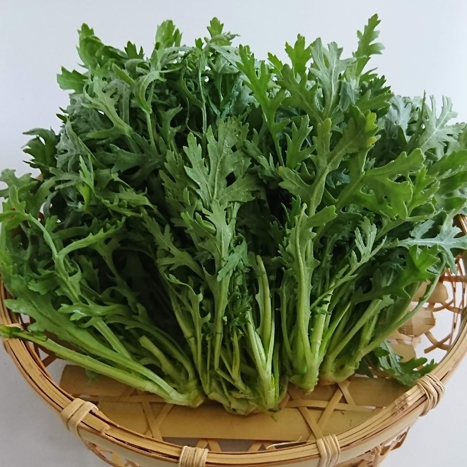 新鮮な春菊　野菜　5キロ サラダ用春菊(4941): 種