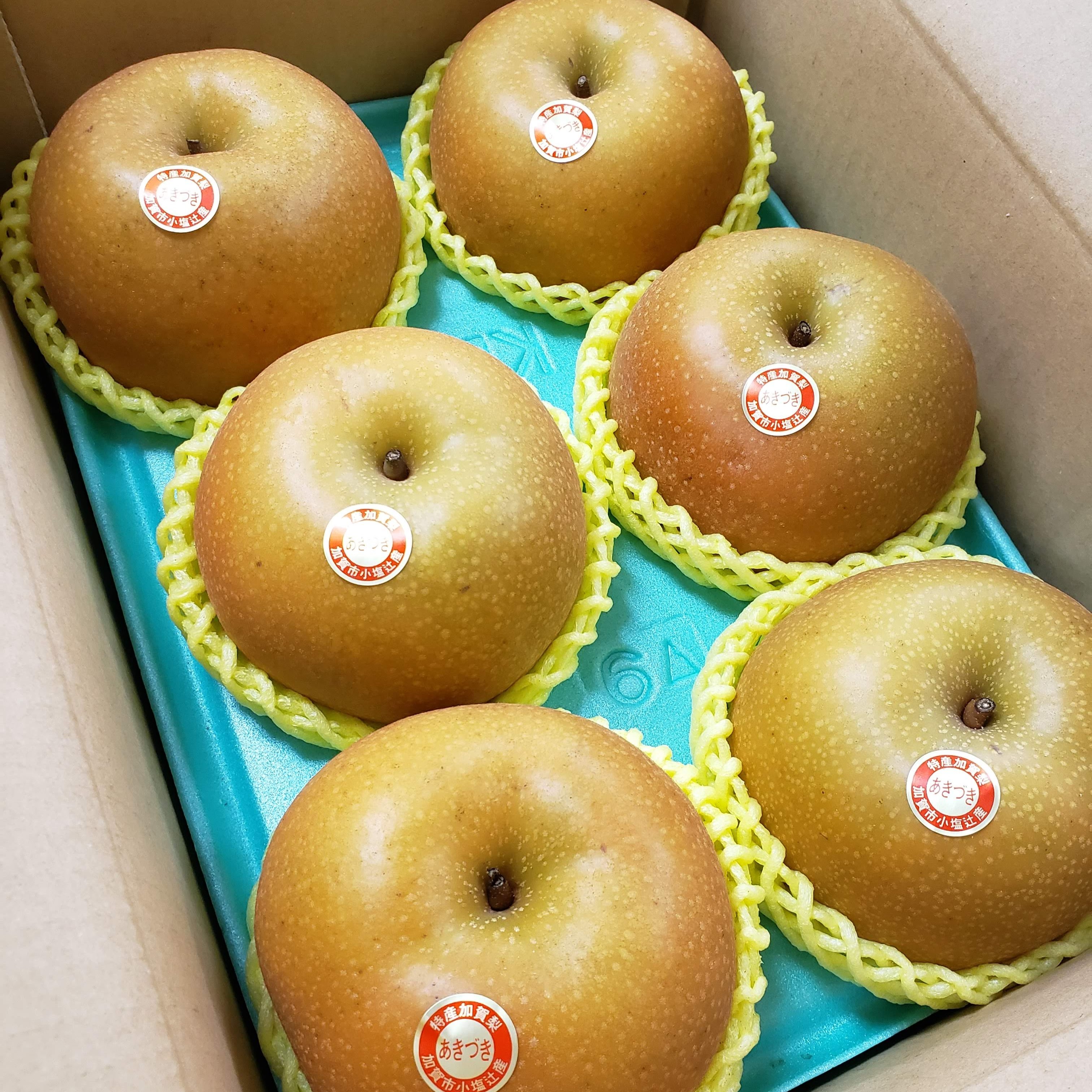 茨城産梨 あきづき1箱10kg14～16玉特大サイズ 特大サイズ 贅沢あきづき梨】 6個入り 贈答用ギフト！ ｜ 果物/梨 産直